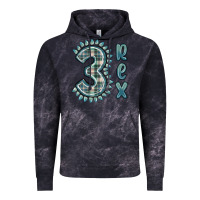 Cloud Black 3 rex green dinosaur Vintage Hoodie - MaliasSmallBusiness