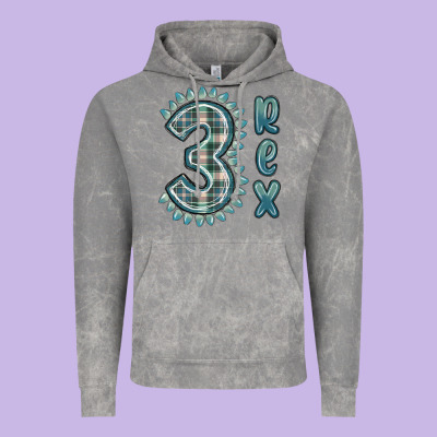 Vintage Hoodie 3 rex green dinosaur