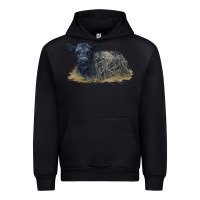 Black Black Angus Calf Illustrations Urban Hoodie - LillyAllenDesigns