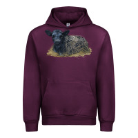 Mauve Wine Black Angus Calf Illustrations Urban Hoodie - LillyAllenDesigns