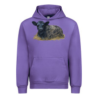 Tulip Black Angus Calf Illustrations Urban Hoodie - LillyAllenDesigns