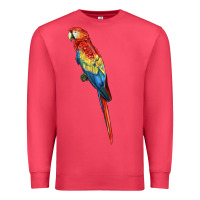 Cardinal Scarlet Macaw Parrot Premium Sweatshirt - LillyAllenDesigns