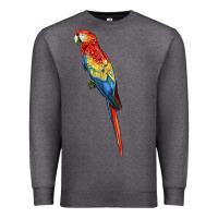 Charcoal Heather Scarlet Macaw Parrot Premium Sweatshirt - LillyAllenDesigns