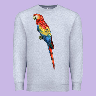Scarlet Macaw Parrot Premium Sweatshirt Designed By Lillyallendesigns