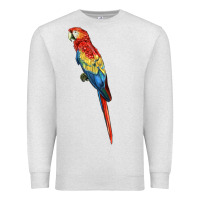 Oatmeal Heather Scarlet Macaw Parrot Premium Sweatshirt - LillyAllenDesigns