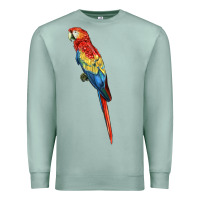 Seafoam Scarlet Macaw Parrot Premium Sweatshirt - LillyAllenDesigns
