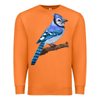 Carrot Blue Jay Bird Premium Sweatshirt - LillyAllenDesigns