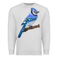 Dove Grey Blue Jay Bird Premium Sweatshirt - LillyAllenDesigns