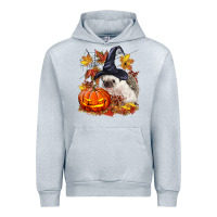 Heather Grey Halloween Hedgehog Urban Hoodie - LillyAllenDesigns