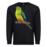 Black Neophema Parrot Premium Sweatshirt - LillyAllenDesigns