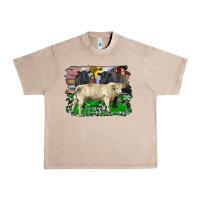 French Oak charolais bull black angus cattle and bull with barnyard and cowhide Urban Heavy Tee - RanaPortraitStore