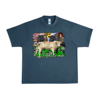 Midnight Navy charolais bull black angus cattle and bull with barnyard and cowhide Urban Heavy Tee - RanaPortraitStore