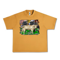 Peanut Butter charolais bull black angus cattle and bull with barnyard and cowhide Urban Heavy Tee - RanaPortraitStore