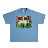 Pebble Blue charolais bull black angus cattle and bull with barnyard and cowhide Urban Heavy Tee - RanaPortraitStore
