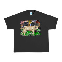 Charolais Bull Black Angus Cattle And Bull With Barnyard And Cowhide Urban Heavy Tee | Teevron