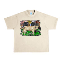 Sandshell charolais bull black angus cattle and bull with barnyard and cowhide Urban Heavy Tee - RanaPortraitStore