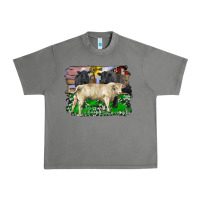 Tornado charolais bull black angus cattle and bull with barnyard and cowhide Urban Heavy Tee - RanaPortraitStore