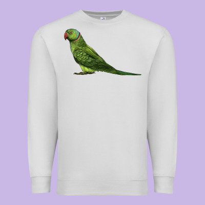 Ring Necked Parakeet Premium Sweatshirt Designed By Lillyallendesigns