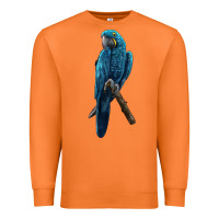 Carrot Hyacinth Macaw Premium Sweatshirt - LillyAllenDesigns