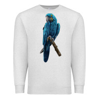 Oatmeal Heather Hyacinth Macaw Premium Sweatshirt - LillyAllenDesigns