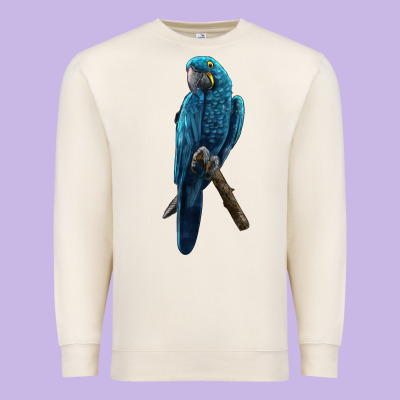 Hyacinth Macaw Premium Sweatshirt Designed By Lillyallendesigns