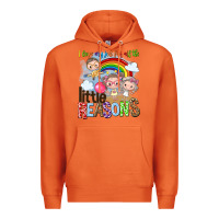Carrot i love my job for all the little reasons Premium Hoodie - NancyCooperArtShop