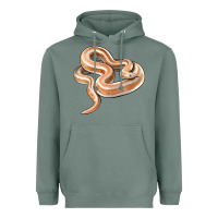 Sage Rosy Boa Snake Illustrations Heavyweight Hoodie - LillyAllenDesigns
