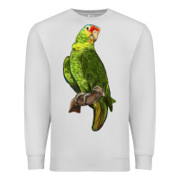 Dove Grey New Zealand Paraket Parrot Premium Sweatshirt - LillyAllenDesigns
