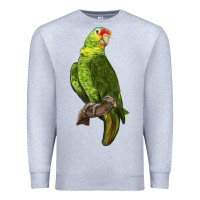 Heather Grey New Zealand Paraket Parrot Premium Sweatshirt - LillyAllenDesigns
