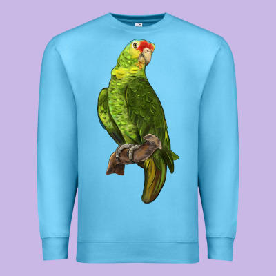 New Zealand Paraket Parrot Premium Sweatshirt Designed By Lillyallendesigns