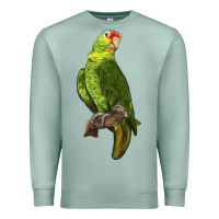 Seafoam New Zealand Paraket Parrot Premium Sweatshirt - LillyAllenDesigns
