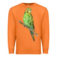 Carrot Budgeriar Bird Parrot Premium Sweatshirt - LillyAllenDesigns
