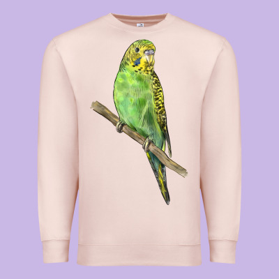Budgeriar Bird Parrot Premium Sweatshirt Designed By Lillyallendesigns
