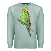 Seafoam Budgeriar Bird Parrot Premium Sweatshirt - LillyAllenDesigns