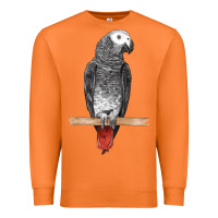 Carrot African Gray Parrot Bird Premium Sweatshirt - LillyAllenDesigns
