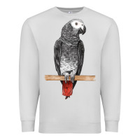 Dove Grey African Gray Parrot Bird Premium Sweatshirt - LillyAllenDesigns