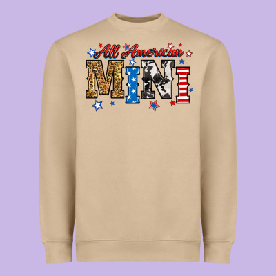 Heavyweight Sweatshirt all american mini