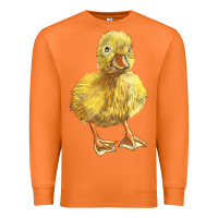 Carrot Baby Duck Premium Sweatshirt - LillyAllenDesigns