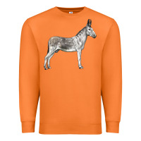 Carrot Andalusian Donkey Premium Sweatshirt - LillyAllenDesigns
