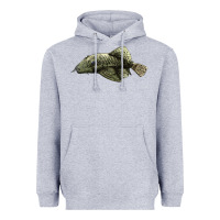 Heather Grey Bristlenose Placo Heavyweight Hoodie - LillyAllenDesigns