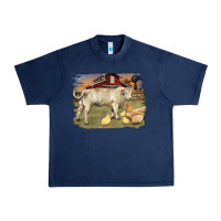 Navy charolaris bull and chicken in barnyard Urban Heavy Tee - RanaPortraitStore