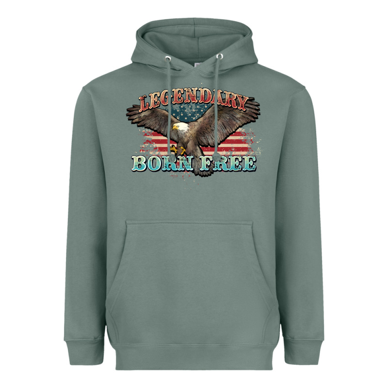 Legendary Born Free Eagle Heavyweight Hoodie by NancyCooperArtShop | Teevron