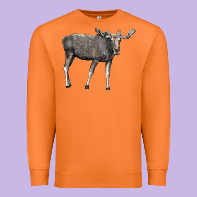 Moose Buck Deer Premium Sweatshirt Designed By Lillyallendesigns