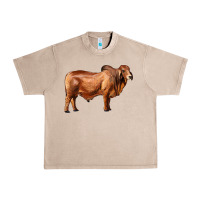 French Oak brahman bull Urban Heavy Tee - RanaPortraitStore
