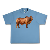 Pebble Blue brahman bull Urban Heavy Tee - RanaPortraitStore