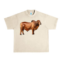 Sandshell brahman bull Urban Heavy Tee - RanaPortraitStore
