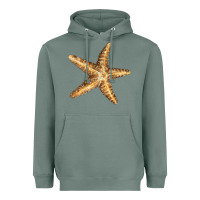 Sage Starfish Heavyweight Hoodie - LillyAllenDesigns
