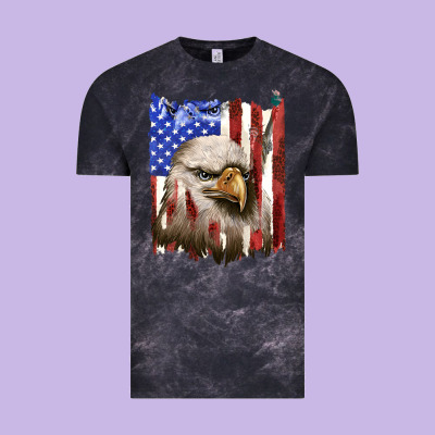 Vintage Tee usa flag with eagle head