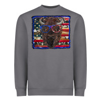 Storm bison with american flag Heavyweight Sweatshirt - RanaPortraitStore