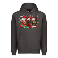 Smoke christmas horses Premium Hoodie - MaliasSmallBusiness